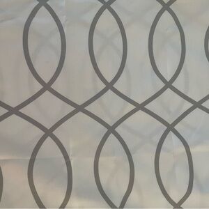 Shower curtain and hooks